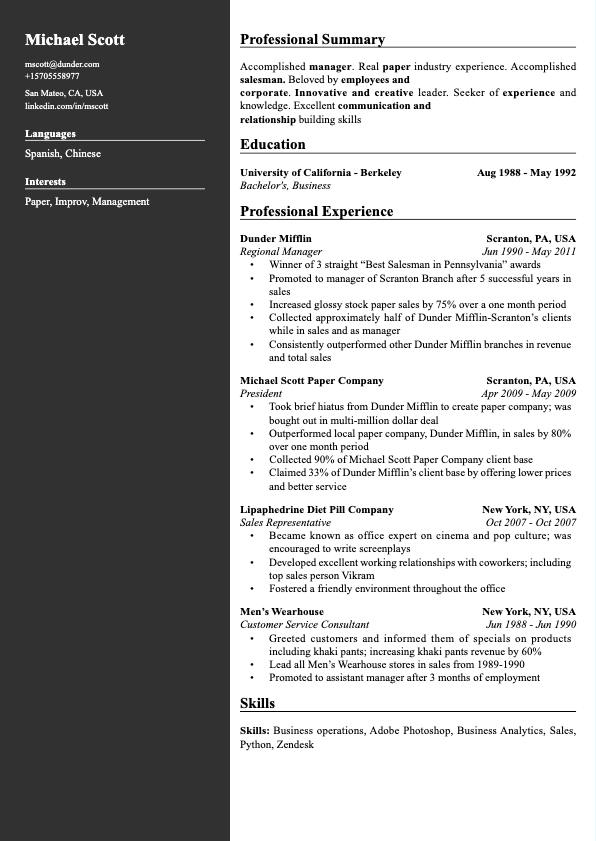 Modern resume template preview