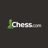 Chess logo