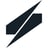 Saronic logo