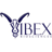 IBEX logo