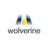 Wolverine Trading logo