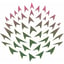 Thistle Technologies