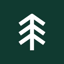 Spruce