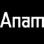 Anam Labs